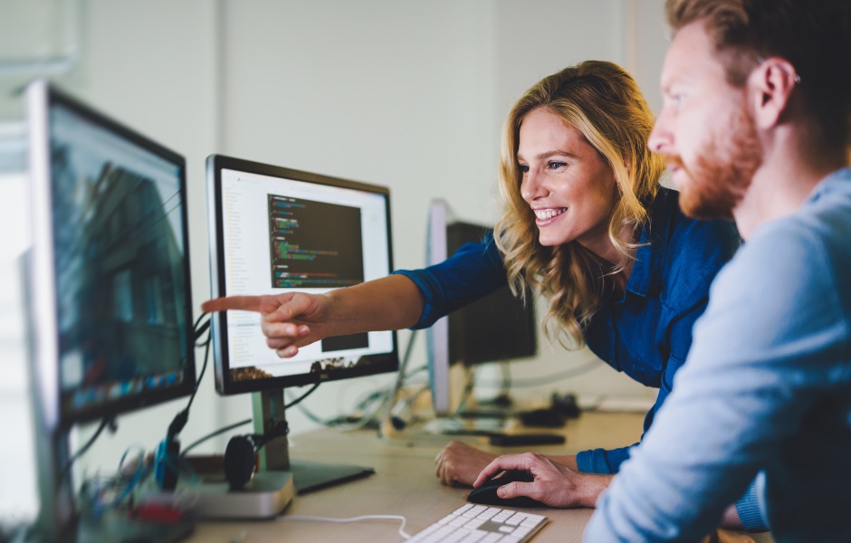 What tasks can be outsourced to software houses?